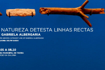 A Natureza Detesta Linhas Rectas