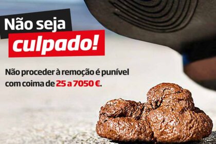 VRSA pretende responsabilizar donos de animais de estimação para que recolham os dejetos caninos na via pública.