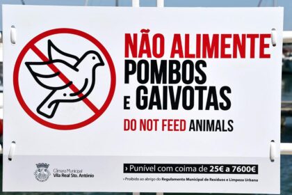 Vila Real de Santo António (VRSA) sensibiliza a população para não alimentar pombos e gaivotas em meio urbano.