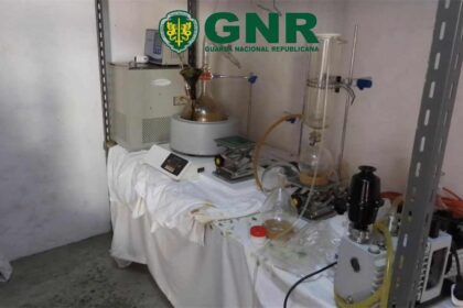 GNR desmantela fábrica clandestina de produção de tabaco em Loulé