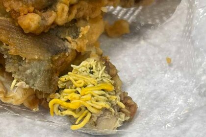 A diretora do Agrupamento de Escolas da Bemposta, Sandra Tenil, disse à Lusa que «a aluna não reportou nem apresentou o prato» com o suposto peixe frito com larvas.