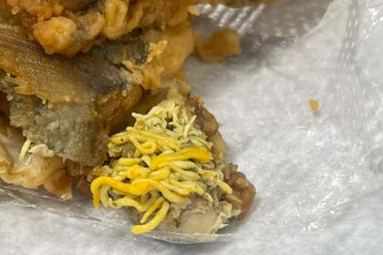 PSD Portimão quer abrir inquérito à suposta presença de larvas no peixe frito servido na cantina da Escola Básica e Secundária da Bemposta.