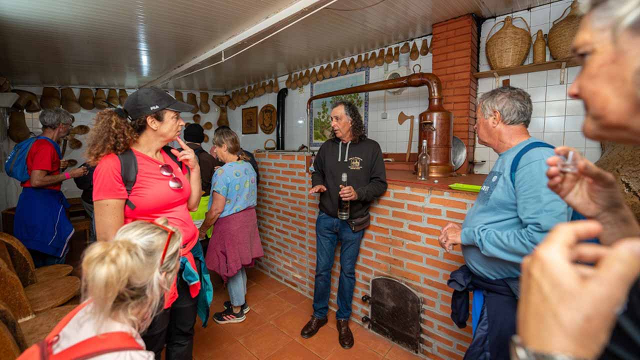 O passeio pedestre, inserido na Feira de Aguardente e Mel da Cortelha, vai dar a conhecer algumas destilarias de aguardente de medronho da Serra do Caldeirão, num percurso de 10 quilómetros.