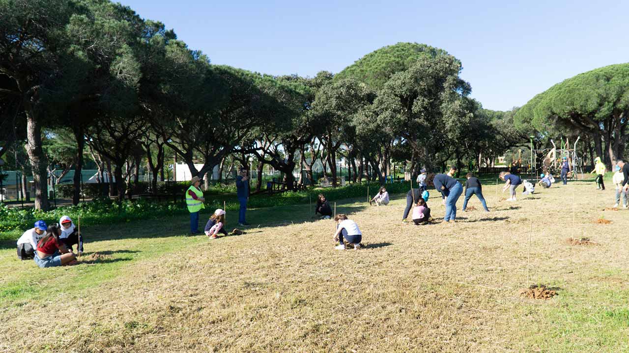 Crianças do 4.º ano de Olhão juntaram-se para plantar 100 árvores, numa atividade de educação ambiental, no Parque de Desporto e Lazer dos Pinheiros de Marim, sob o tema «Toda a Árvore Conta».