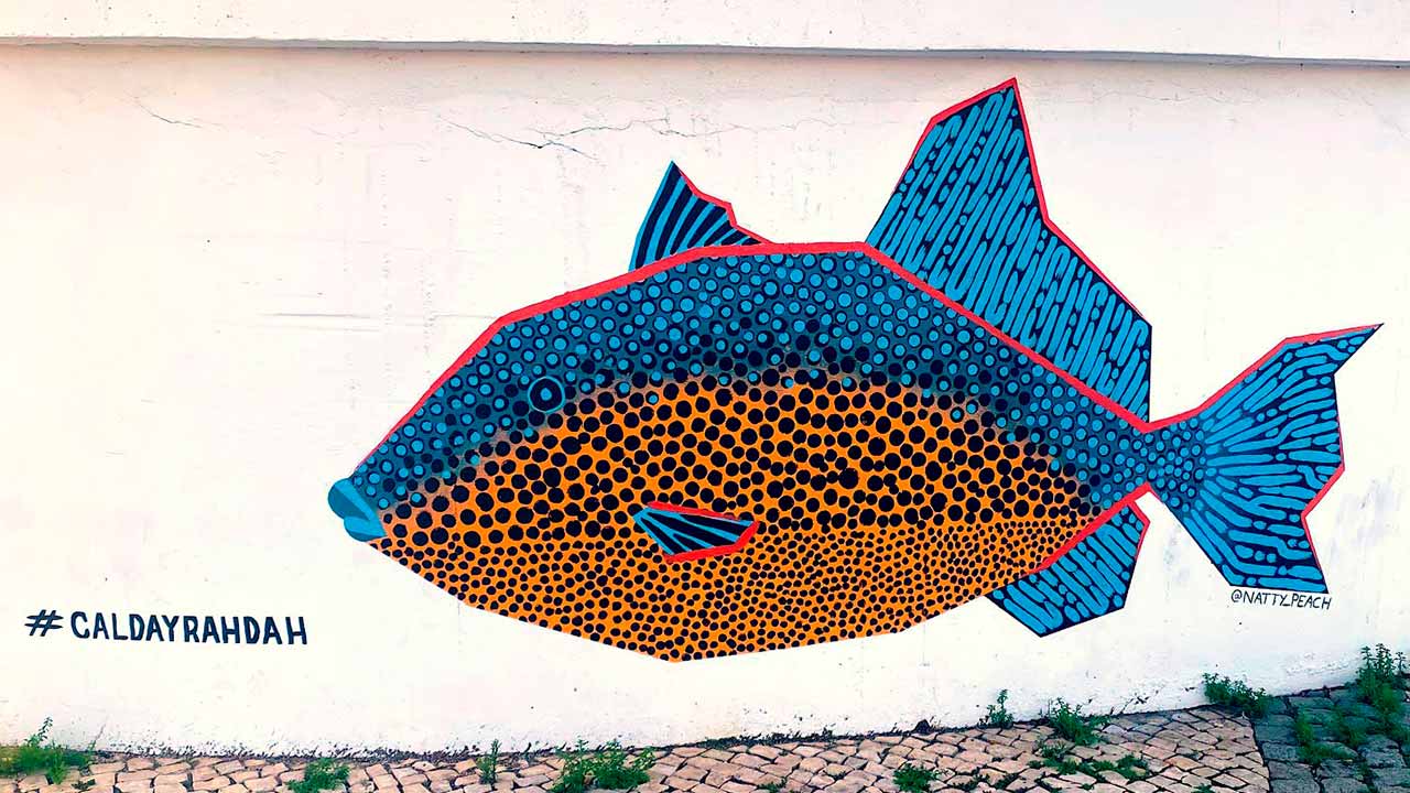 Quatro novos peixes utilizados na caldeirada vão-se juntar ao mural interativo, que se transforma num jogo que convida a descobrir a cidade e todos os peixes escondidos em Portimão.