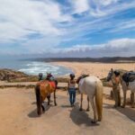 A Carrapateira Extreme oferece atividades na Costa Vicentina como passeios a cavalo, SUP, caiaque, ciclismo e aulas de surf.