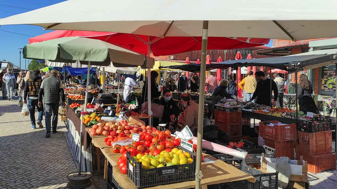O fim do IVA zero trouxe uma subida do preço da generalidade dos alimentos que beneficiaram desta isenção e, no espaço de um mês e meio, o custo de um cabaz de produtos que o integram aumentou 6,77 euros.
