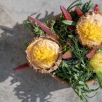 O chef Hugo Nascimento e a mulher Joana mudaram-se para Odeceixe onde criaram o Näperõn, um espaço gastronómico no coração da vila.