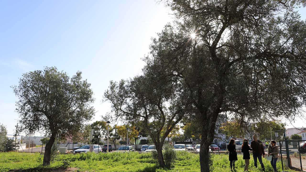 O requalificado Parque Infantil de Altura vai ter dois tipos de baloiços, dois escorregas, dois divertimentos suportados por molas e zona de descanso, num investimento autárquico de 150 mil euros.