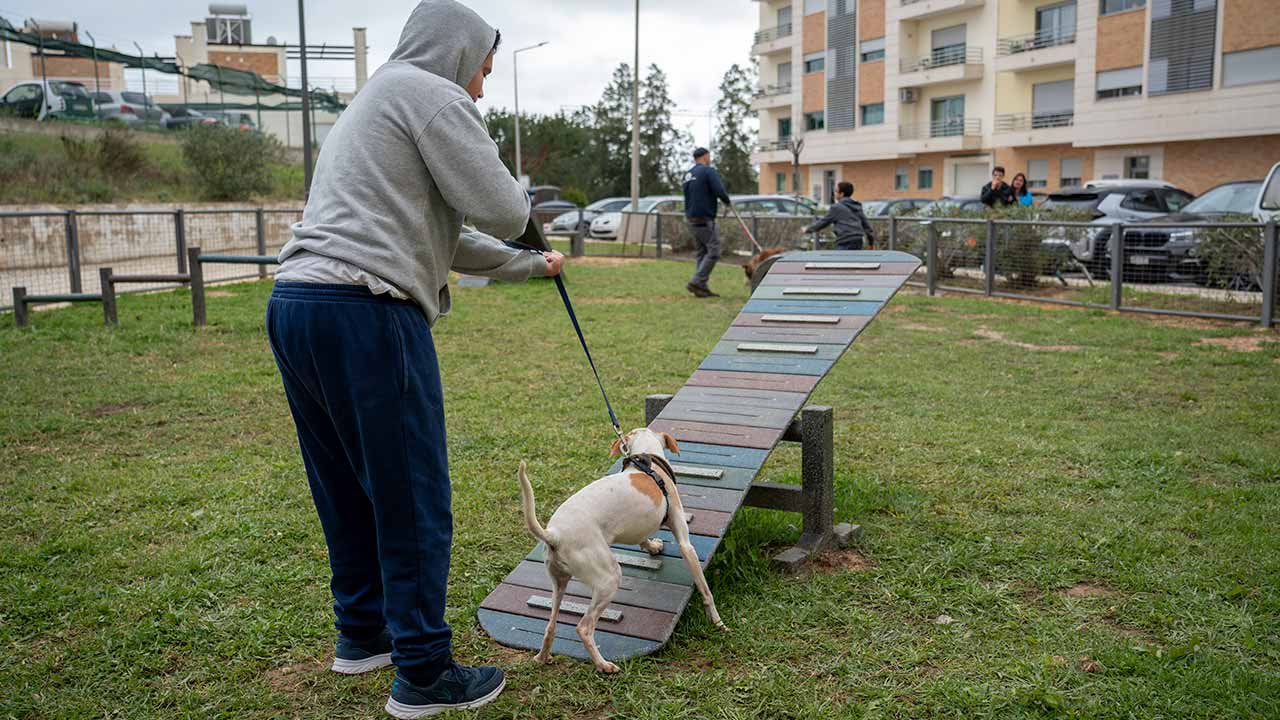 O segundo parque canino de Olhão, num total de sete, já é uma realidade na Quinta João de Ourém, freguesia de Pechão, num investimento municipal, no qual se segue o da Zona Alta, em Quelfes.