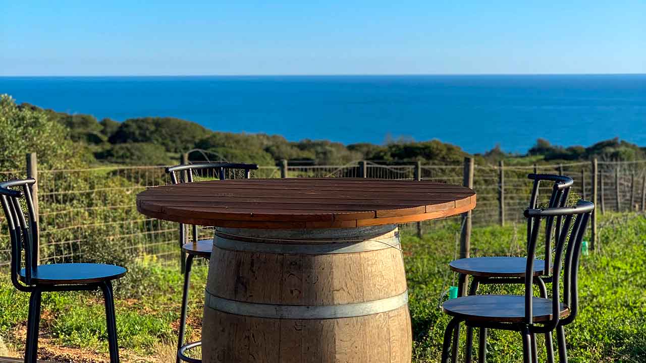 No topo de uma arriba entre Lagos e a Praia da Luz, a Vinha da Falésia, produz blends frescos de marca própria com um toque de História.
