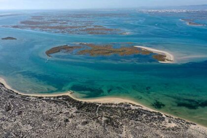 «Se não fizermos mais para proteger as zonas húmidas, não sobreviveremos às alterações climáticas», diz o diretor da Sociedade Portuguesa para o Estudo das Aves (SPEA), Domingos Leitão, por ocasião do Dia Mundial das Zonas Húmidas, que se comemora amanhã, 2 de fevereiro.