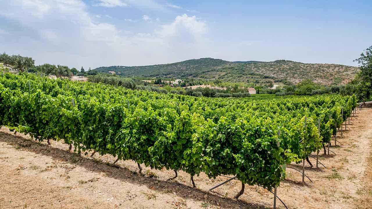 A Comissão de Coordenação e Desenvolvimento Regional (CCDR) do Algarve saúda a Comissão Vitivinícola do Algarve (CVA) pela distinção atribuída ao Algarve Wine Tourism de melhor «Enoturismo 2023» dos Prémios Grandes Escolhas.