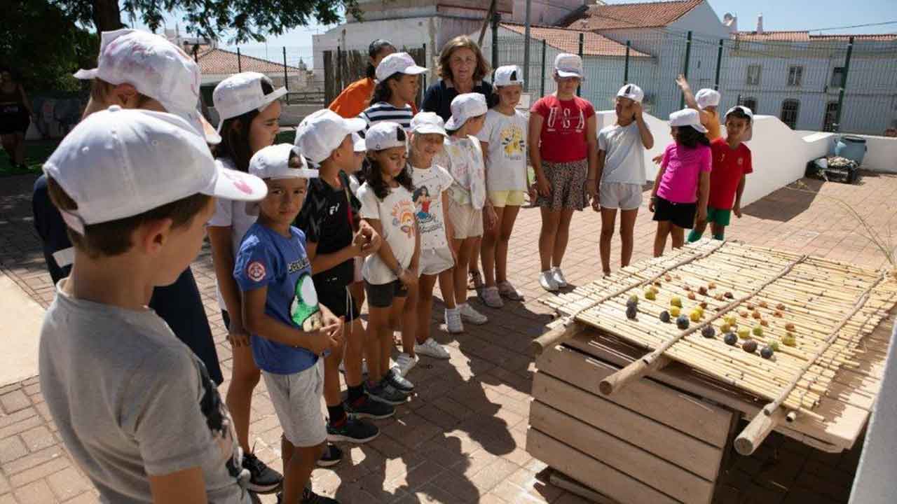 O projeto «Férias de Verão 2024» destina-se às crianças do primeiro ciclo do Ensino Básico, que estudam no concelho de Albufeira, e cujos pais se encontrem a trabalhar sem alternativas onde possam deixar os seus filhos em segurança durante o período de férias escolares.