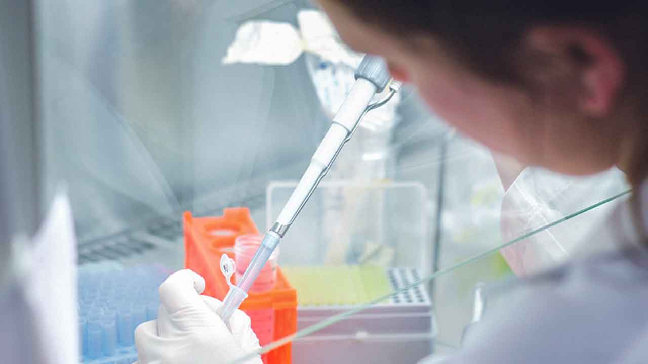 GreenCoLab vai ocupar as instalações desativadas do antigo Laboratório de Apoio à Produção Animal, gerido pela ex-DRAP Algarve, situadas no Patacão – Faro.