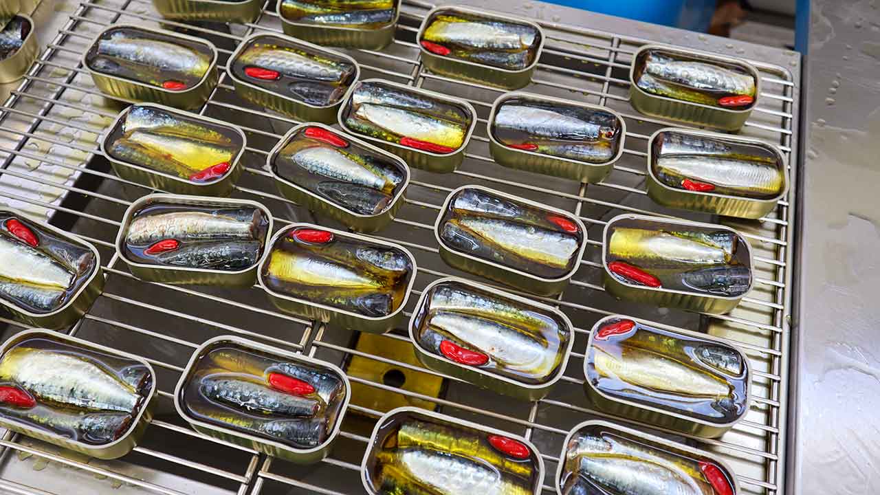 Quase 180 atividades integram o programa da terceira edição da iniciativa «À Descoberta do Turismo Industrial», que vai decorrer pelo país, até dia 30 deste mês.