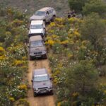 O Alcoutim off Road 2024 «foi um sucesso» e juntou mais de 100 pessoas de diferentes idades e provenientes de várias zonas, para um passeio todo o terreno pelas melhores paisagens da zona.