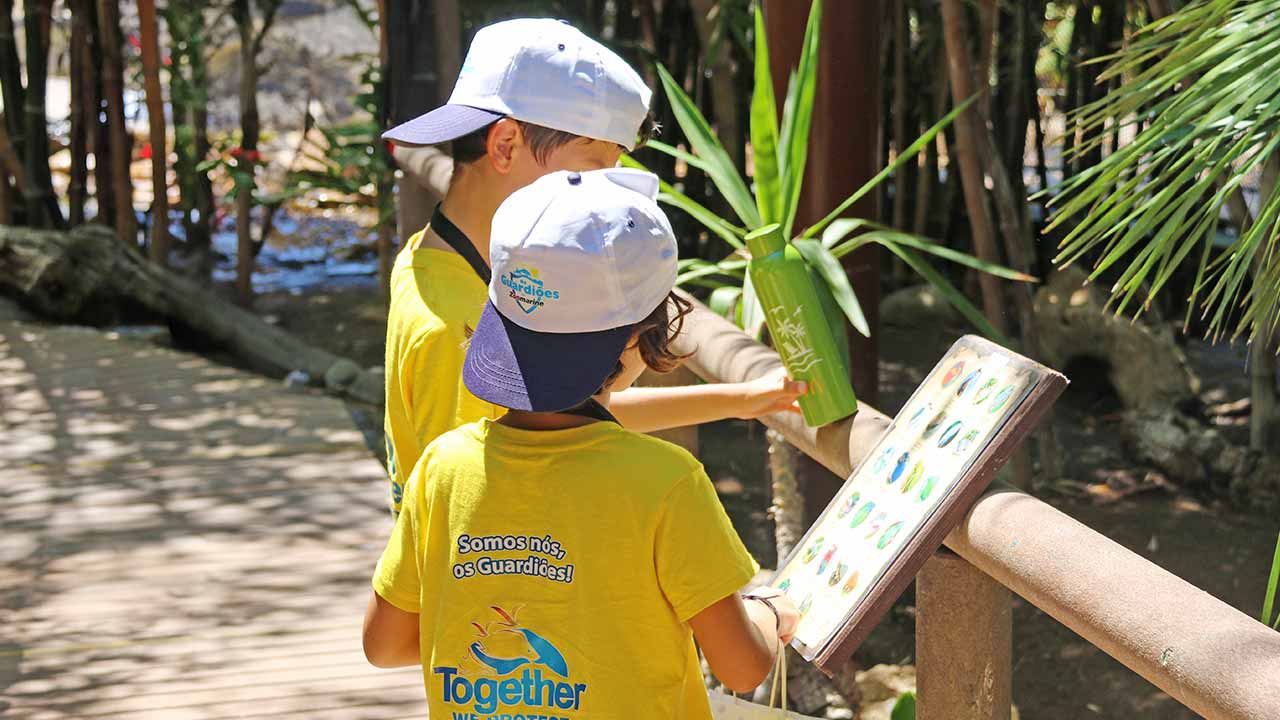 Já estão abertas as inscrições para os campos de férias do Zoomarine, destinados a crianças entre os seis e os 15 anos, num total de três programas à escolha, entre os dias 1 de julho e 6 de setembro.