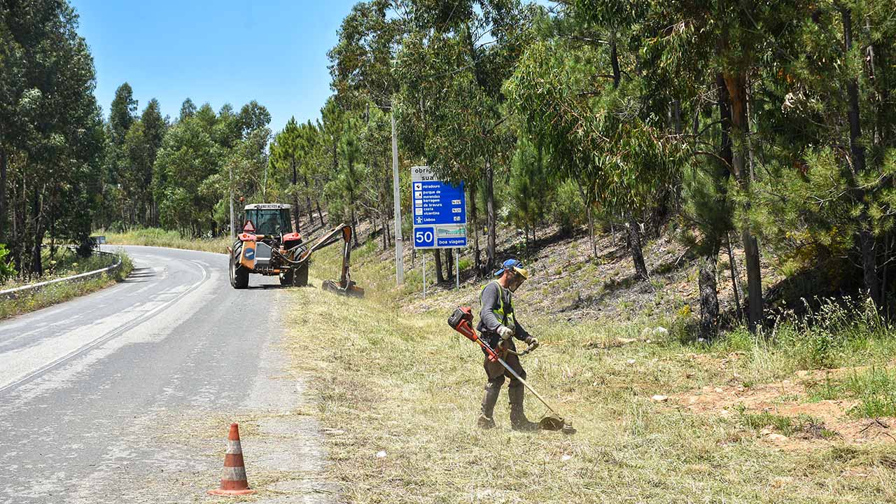 O governo decidiu prorrogar por mais um mês, até 31 de maio, o prazo para as limpezas de matas e terrenos florestais.