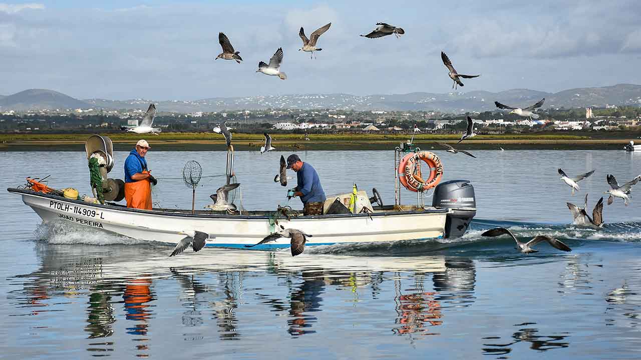 Os pescadores do Algarve mostraram-se hoje preocupados com as condições de segurança de entrada das suas embarcações nos portos da região, aguardando com ansiedade o início das dragagens prometidas, que já deviam ter começado em 2023.