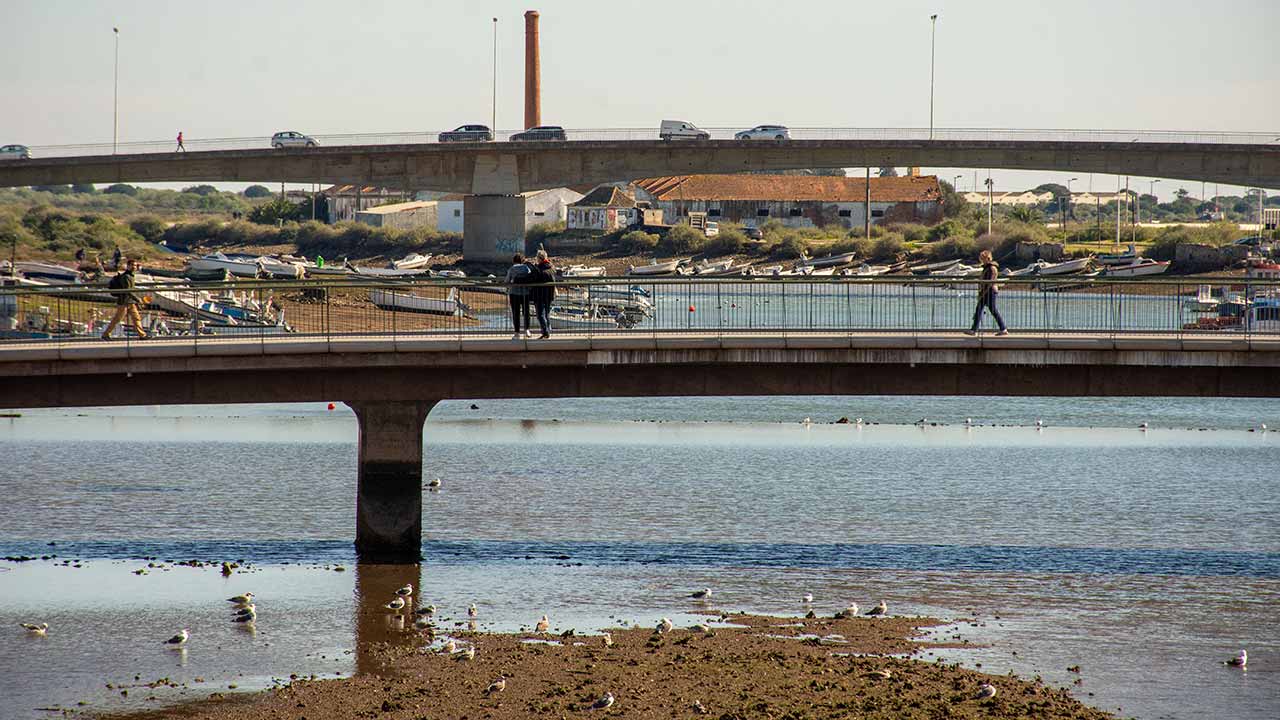 O movimento de Cidadãos pelo CEAT e Hortas Urbanas de Tavira e a associação Ecotopia Activa, com sede em Tavira, vêm dar a conhecer publicamente a sua participação na Consulta Pública do Plano de Mobilidade Sustentável da Cidade de Tavira (PMSCT).