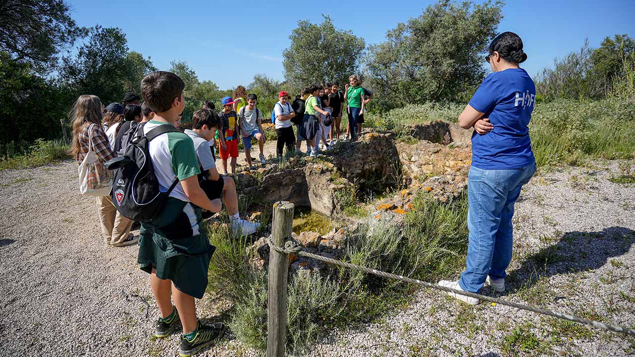 Está a decorrer a Semana da Ria Formosa, em Olhão, até ao próximo sábado, dia 20 de abril, dedicada à sensibilização ambiental e à partilha pedagógica de experiências com a comunidade local e visitantes.