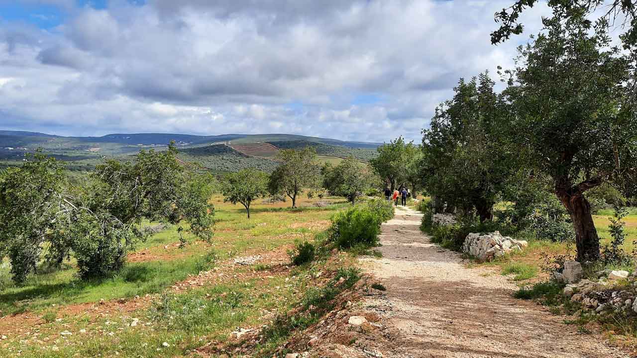 A Via Algarviana comemora 15 anos em maio de 2024. A data é assinalada com o lançamento oficial de quatro novos percursos pedestres: três pequenas rotas, nos concelhos de Albufeira, Loulé e Silves, e uma ligação à GR13, também no concelho de Silves.
