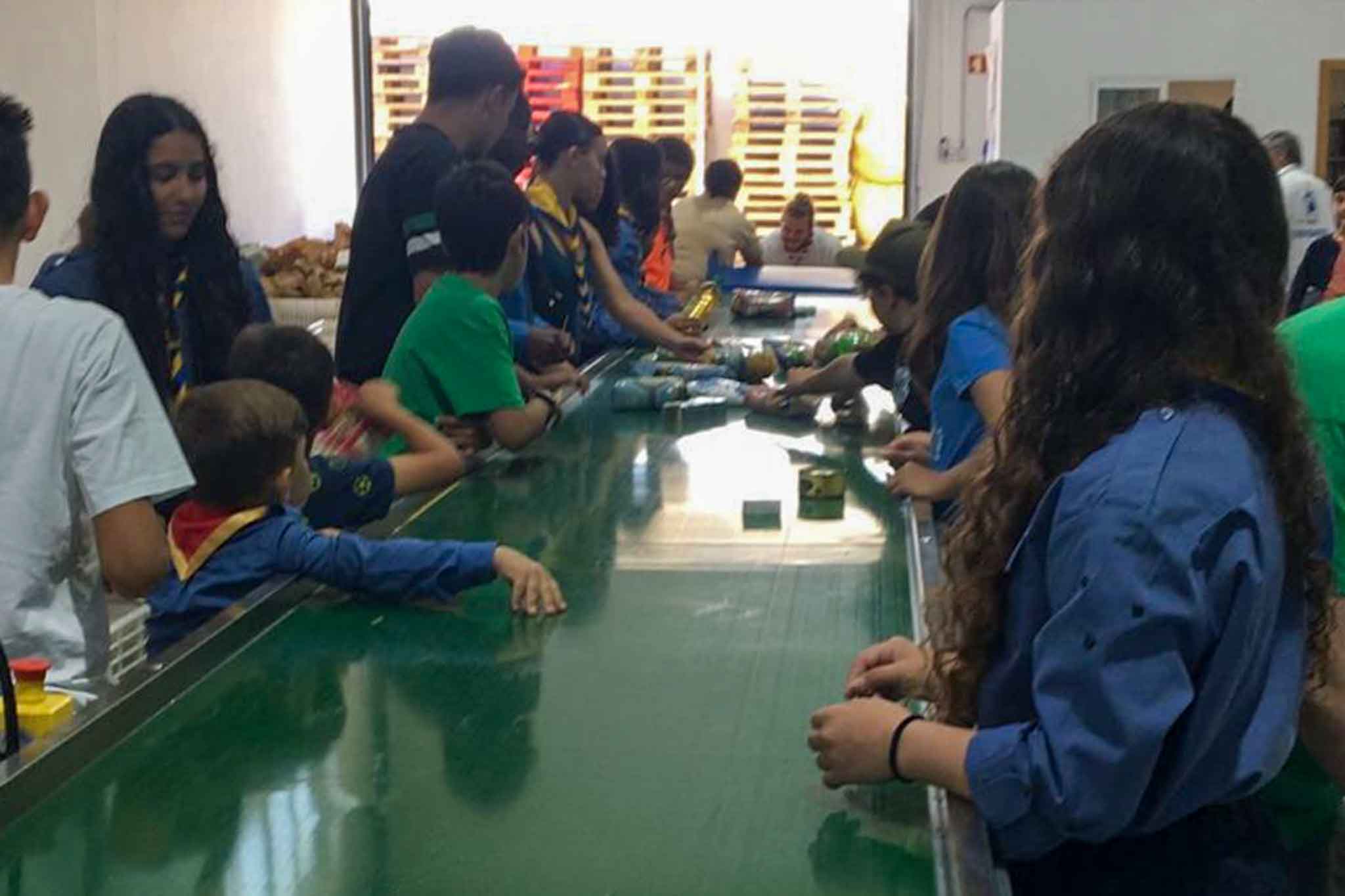 A campanha do Banco Alimentar contra a Fome recolheu este fim de semana 1.755 toneladas de alimentos em mais de 2.000 superfícies comerciais do país, avançou hoje a instituição de solidariedade social.