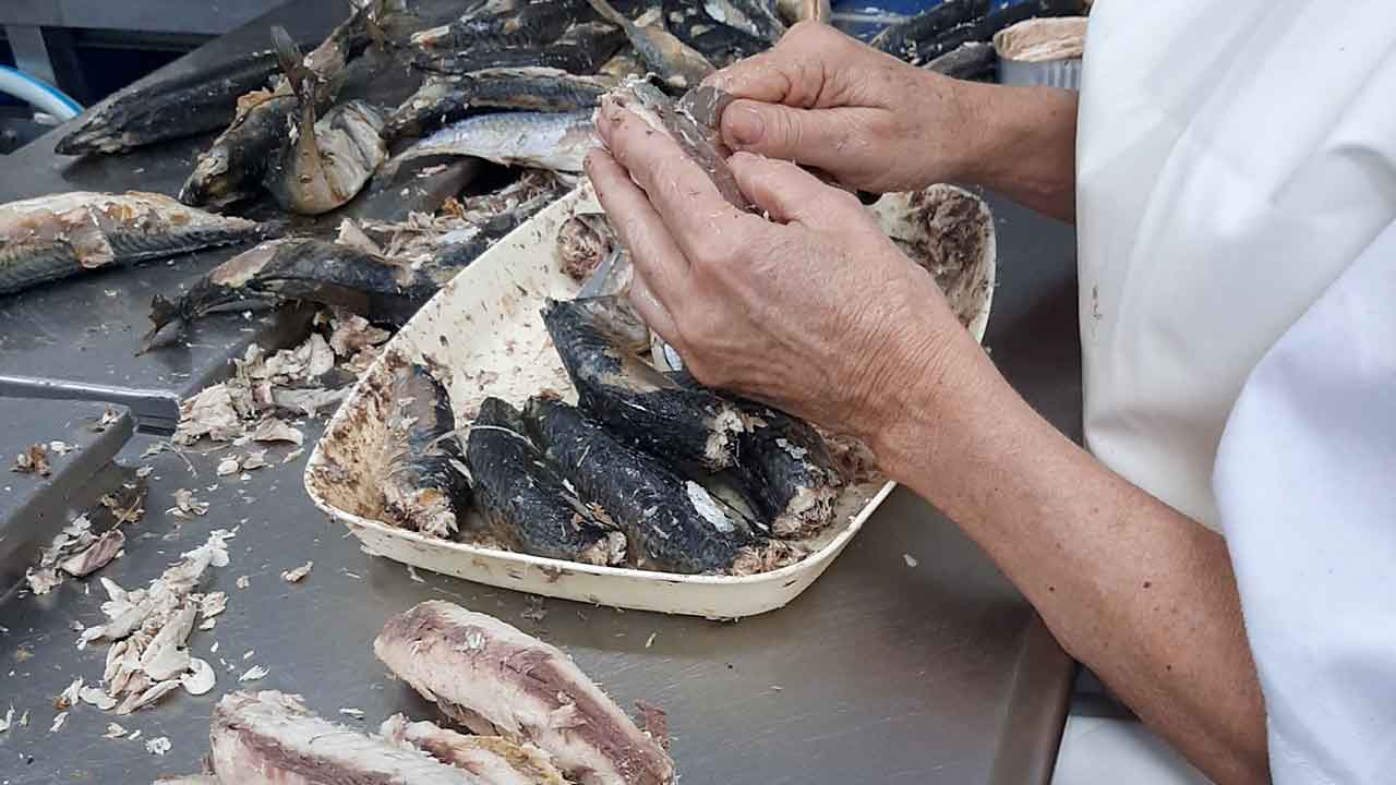 Pela primeira vez os alunos da Escola de Hotelaria e Turismo do Algarve (EHTA) colaboram na introdução no mercado de novos produtos de conserva, numa parceria com a Conserveira do Sul.