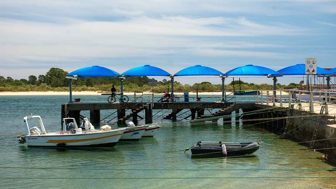 Vai estrear um novo evento em Tavira, nas Quatro Águas, o EcológiTa, com o objetivo de capacitar para a utilização sustentável dos recursos naturais, durante três dias.