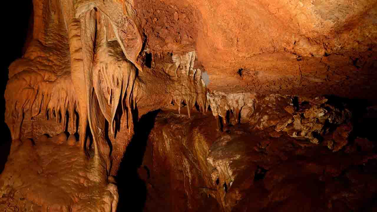 Durante três anos, a biodiversidade subterrânea da Gruta do Vale Telheiro vai ser estudada por cientistas, tornando-se a primeira investigação ecológica de longo prazo em grutas da Europa Ocidental.