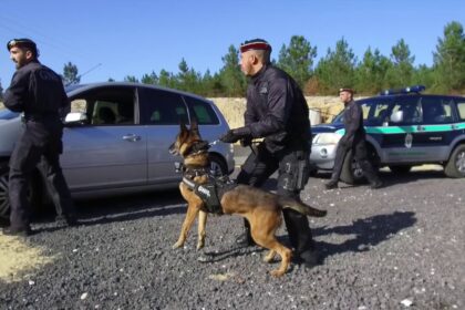 As autoridades estão a procurar um idoso desaparecido na terça-feira em Monchique. As buscas estão a ser realizadas com a ajuda de cães e drones.