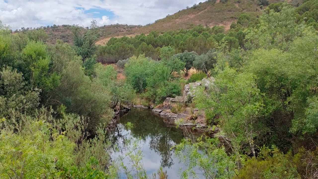 Os tavirenses podem agora usufruir de um novo percurso pedestre junto à Ribeira da Foupana, com a inauguração da Estação de Biodiversidade, que marca o encerramento do projeto Plantar Água 2023 - projeto de restauro ecológico em áreas ardidas da Serra do Caldeirão.