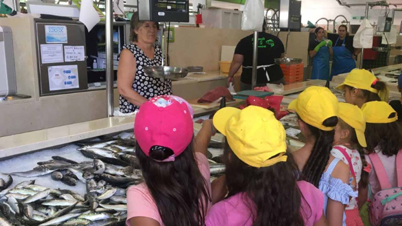 Crianças a partir dos três anos e jovens até aos 30 têm vários programas pensados pelo município de São Brás de Alportel para as Férias de Verão.