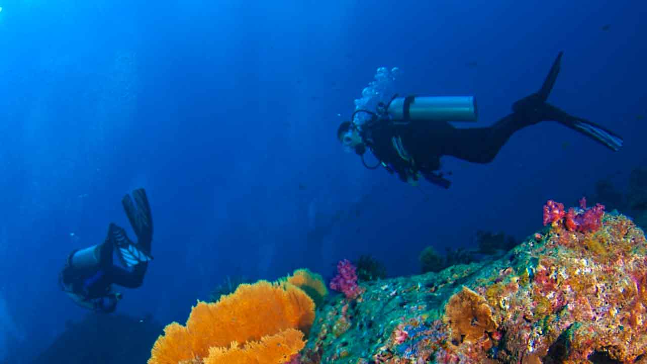 A PharmaMar faz expedições em todos os mares e oceanos do mundo e tem 400 mil amostras marinhas, a maior coleção do mundo. Invertebrados marinhos do fundo do oceano podem vir a ser uma opção para o tratamento de cancros.