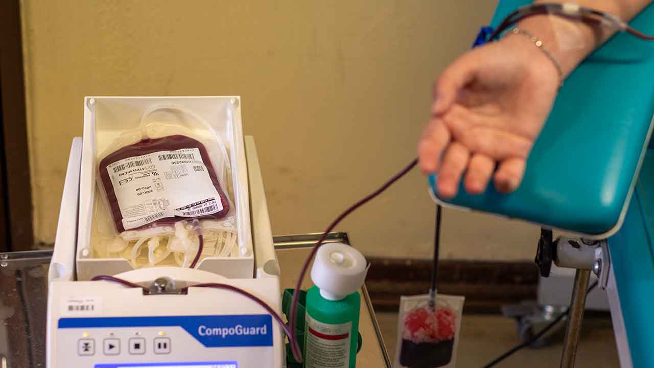 A Federação Portuguesa de Dadores Benévolos de Sangue voltou hoje a pedir que os dadores voltem a ter o direito à dispensa laboral no dia que realizam a dádiva e a regulamentação do Estatuto do Dador de Sangue.