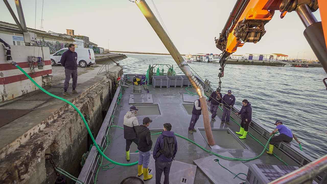 A falta de manutenção das máquinas de produção de gelo em alguns portos da Docapesca no Algarve, está a condicionar a atividade dos barcos da pesca do cerco, denunciaram hoje duas associações de armadores algarvias.