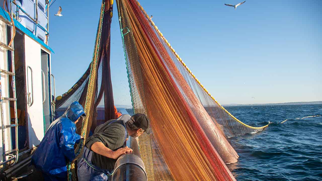 A falta de manutenção das máquinas de produção de gelo em alguns portos da Docapesca no Algarve, está a condicionar a atividade dos barcos da pesca do cerco, denunciaram hoje duas associações de armadores algarvias.