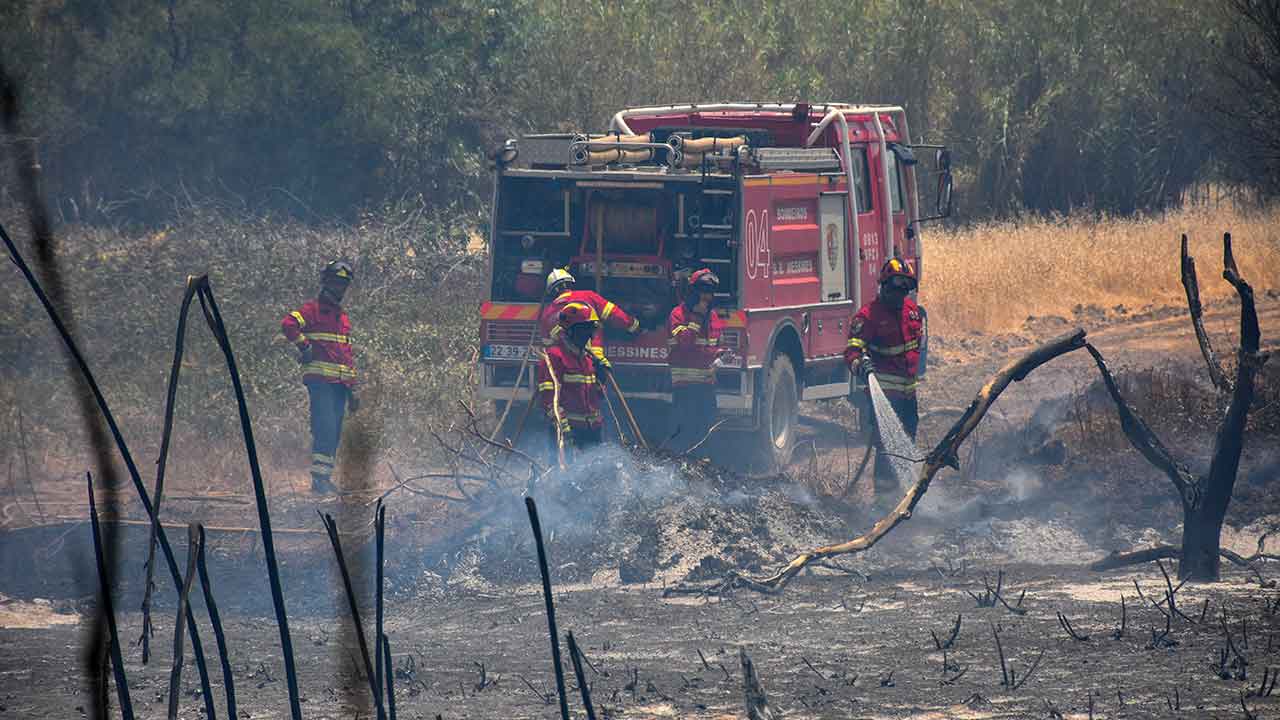 Nos seis primeiros meses do ano ocorreram 1.812 incêndios rurais, o número mais baixo desde 2014, informa hoje o ICNF.