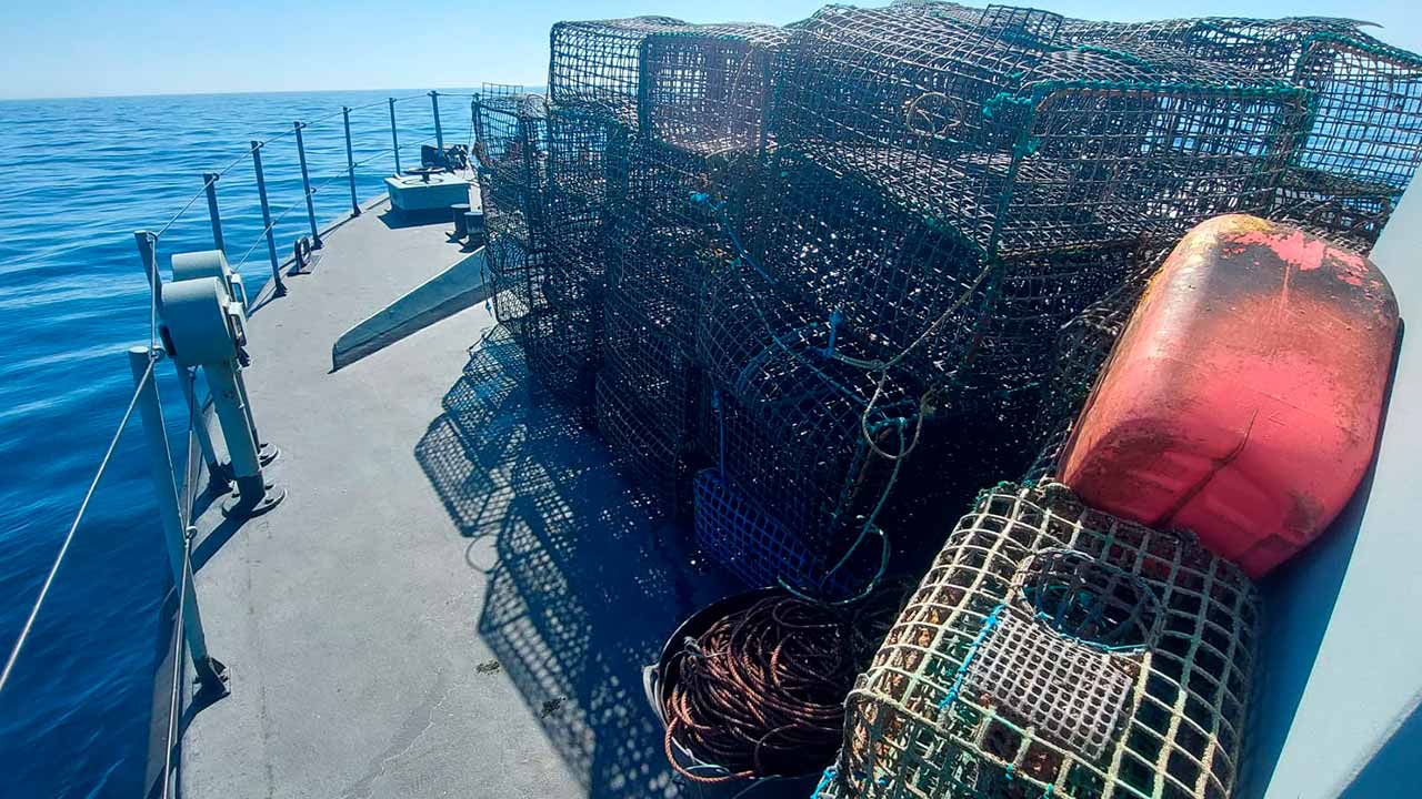 59 armadilhas de gaiola foram detetadas e recolhidas pela Marinha Portuguesa na Pedra do Valado, Parque Natural Marinho onde estão proibidas quaisquer atividades humanas.