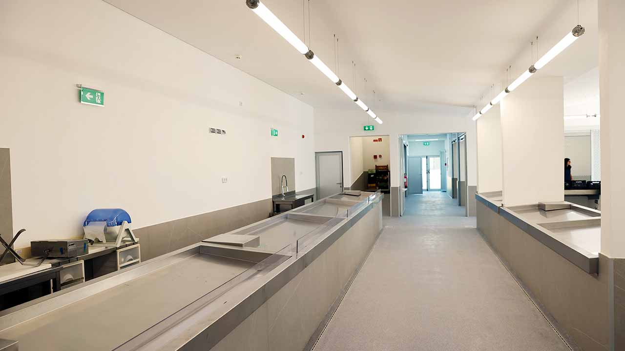 Depois de um investimento de 558 mil euros do CRESC Algarve 2020, o Mercado Municipal de Odiáxere está reabilitado e já inaugurou.