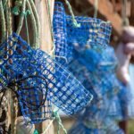 Projeto Carefish/catch quer reduzir o sofrimento na pesca com armadilhas e covos