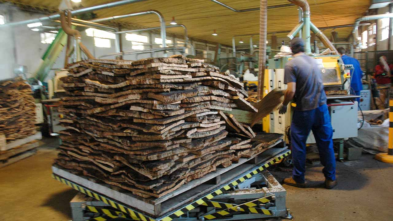 Trabalhadores da indústria da cortiça concentram-se esta quarta-feira junto à sede da Corticeira Amorim para exigir aumentos salariais.