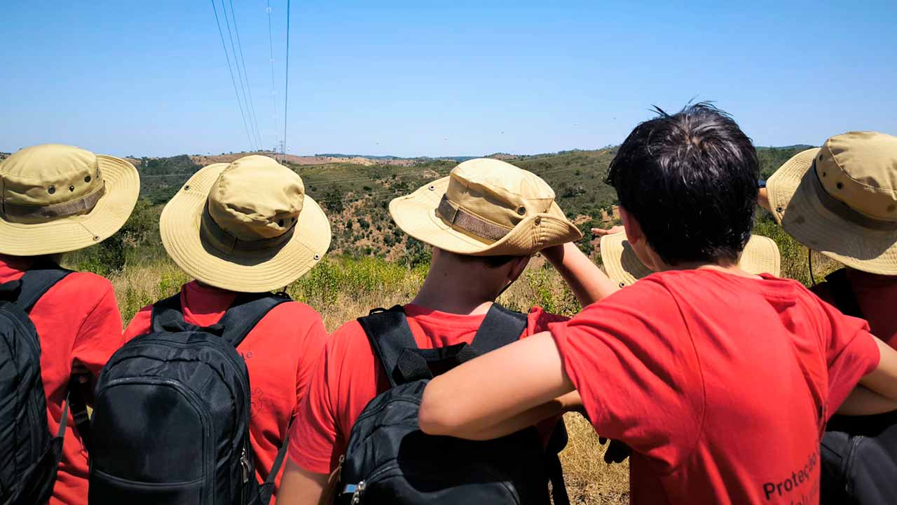 Foram 56 os jovens, divididos em oito Brigadas, que estiveram, durante os últimos dois meses, envolvidos na vigilância florestal do concelho de Loulé.