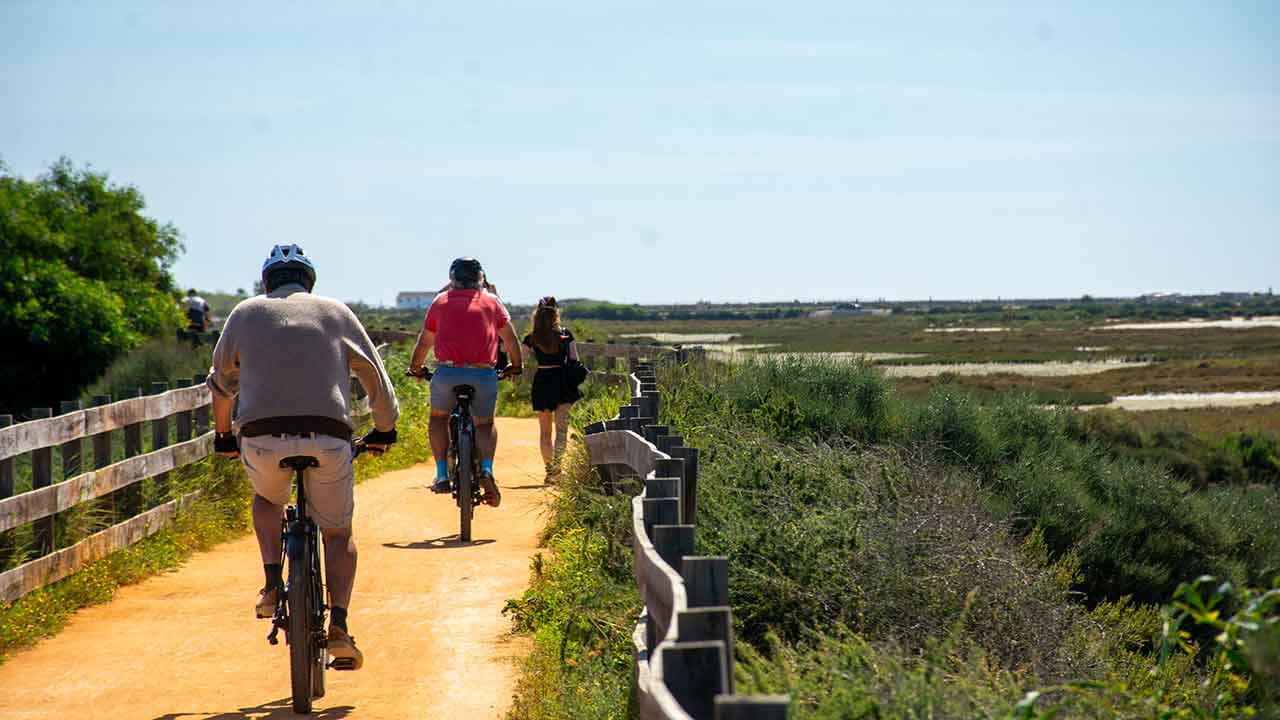 Numa altura em que a Estratégia nacional para a mobilidade em bicicleta completa cinco anos, a Mubi diz que precisa «urgentemente de liderança política e de recursos humanos e financeiros».