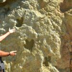 Uma jazida com 12 pegadas de diferentes dinossauros, entre outras descobertas de calibre mundial, na Praia dos Arrifes, em Albufeira, alavancam a candidatura do aspirante Geoparque Algarvensis à UNESCO.