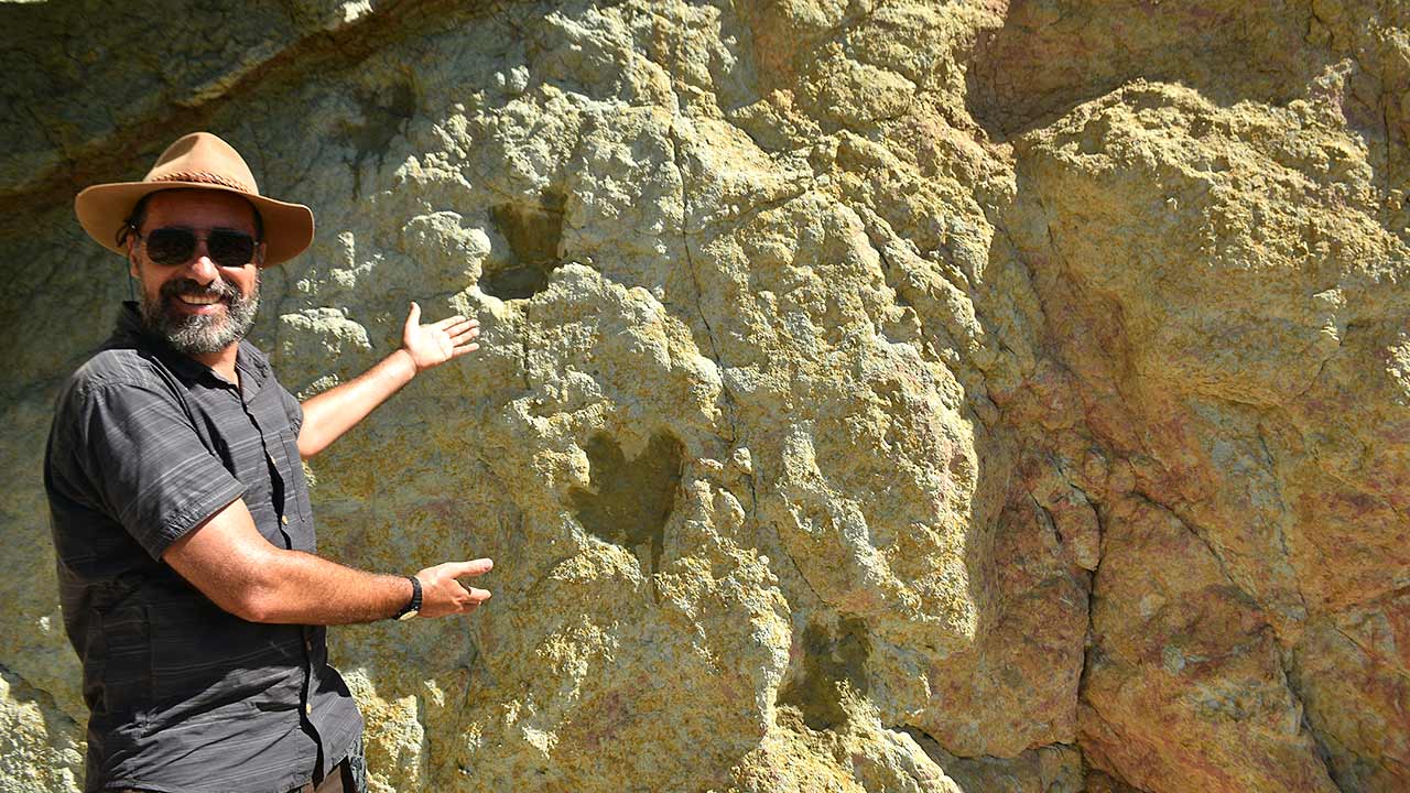 Pegadas de dinossauro inéditas em Albufeira alavancam importância