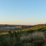 Nas margens do rio Arade, o Arvad oferece provas de vinho premium, sunset sessions e experiências de enoturismo.