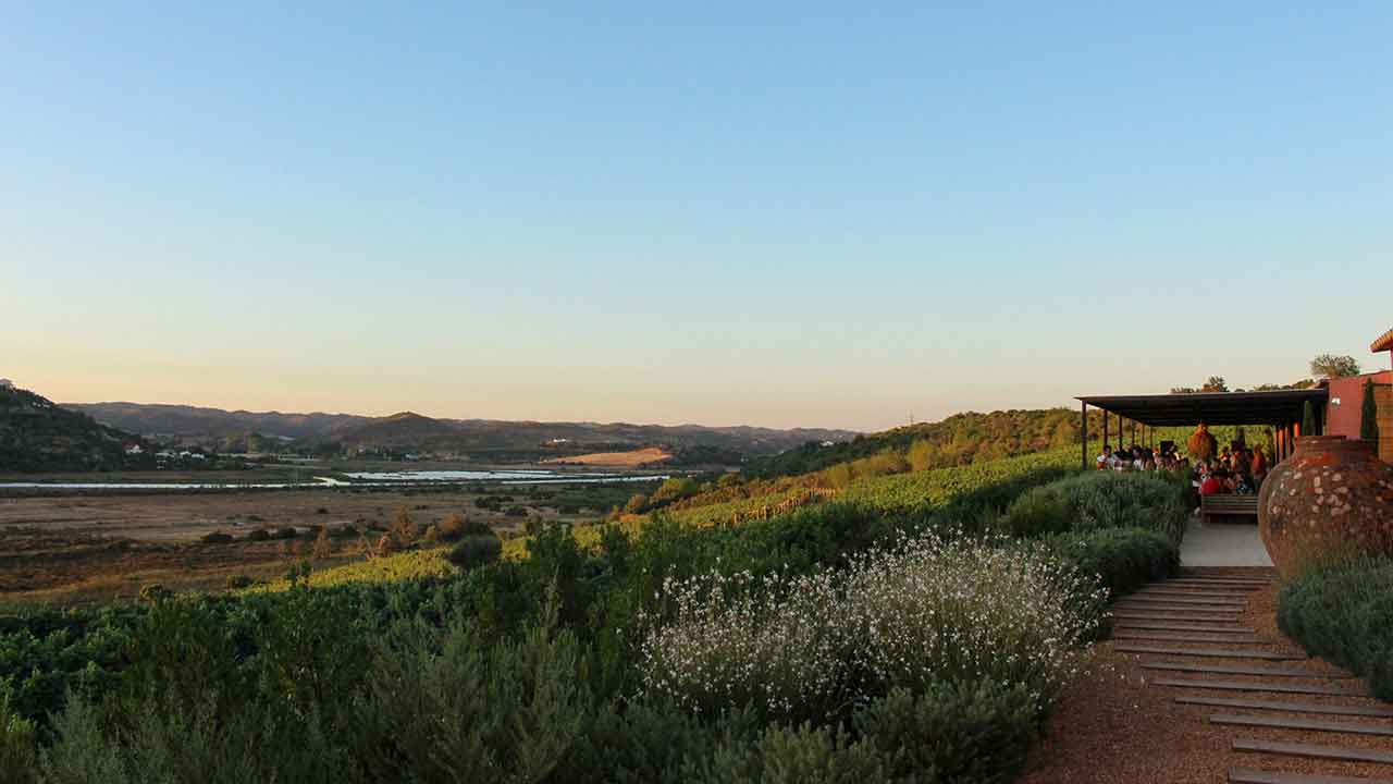 Nas margens do rio Arade, o Arvad oferece provas de vinho premium, sunset sessions e experiências de enoturismo.