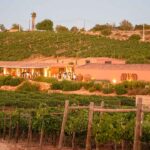 Nas margens do rio Arade, o Arvad oferece provas de vinho premium, sunset sessions e experiências de enoturismo.
